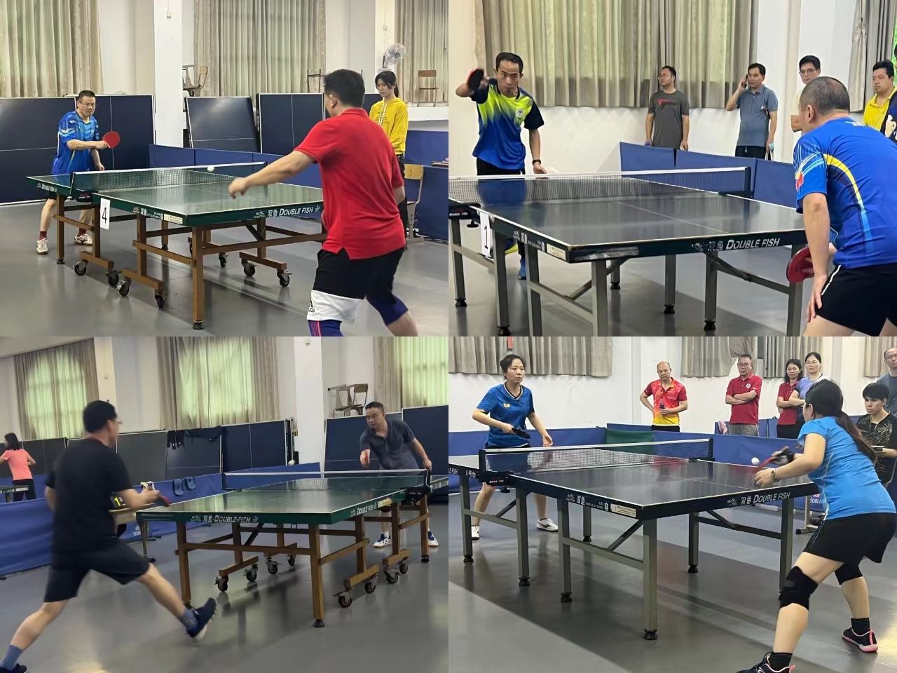 伟德bv国际体育