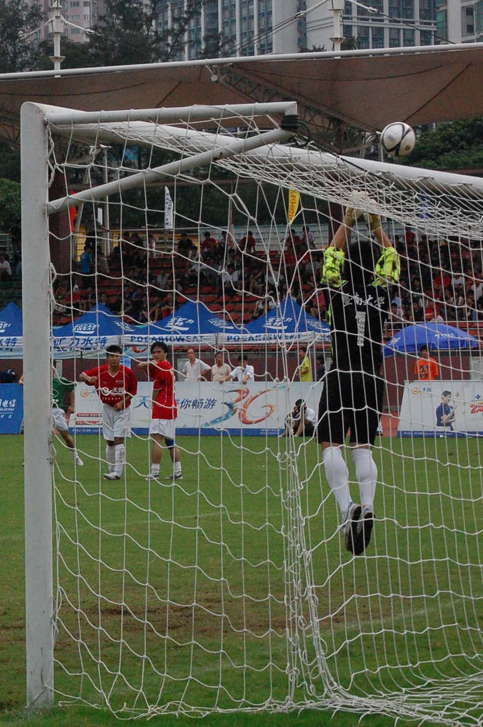 伟德bv国际体育