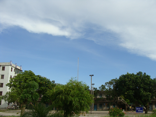 伟德bv国际体育