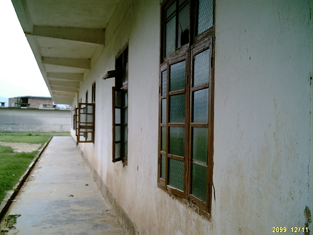 伟德bv国际体育