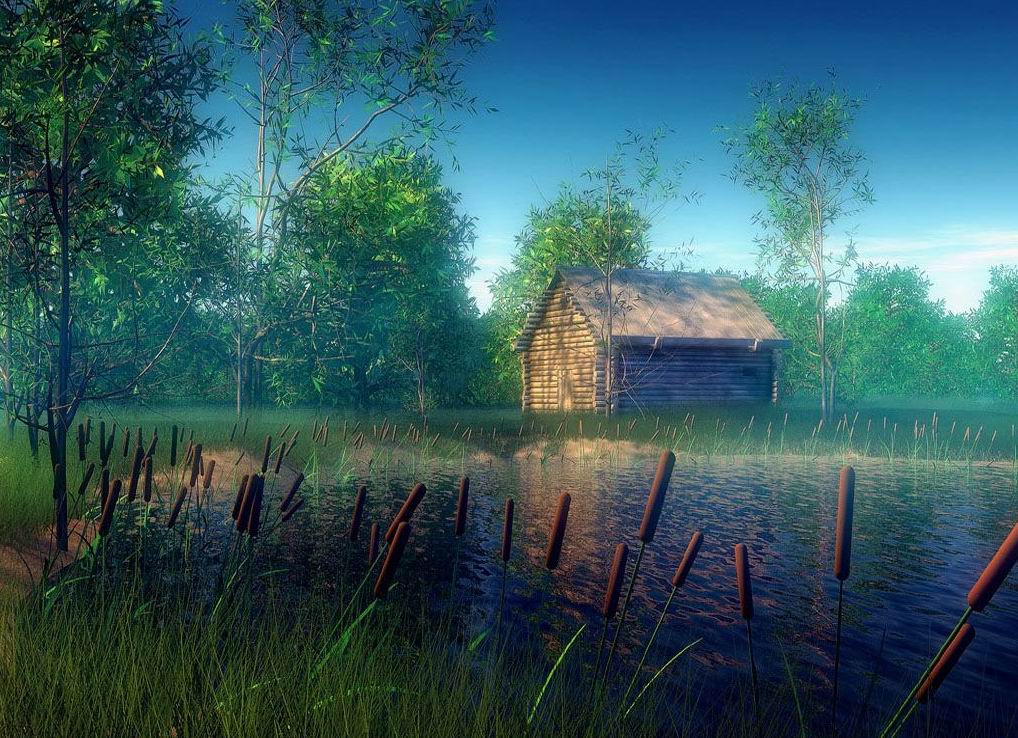 伟德bv国际体育