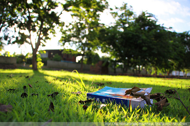 伟德bv国际体育