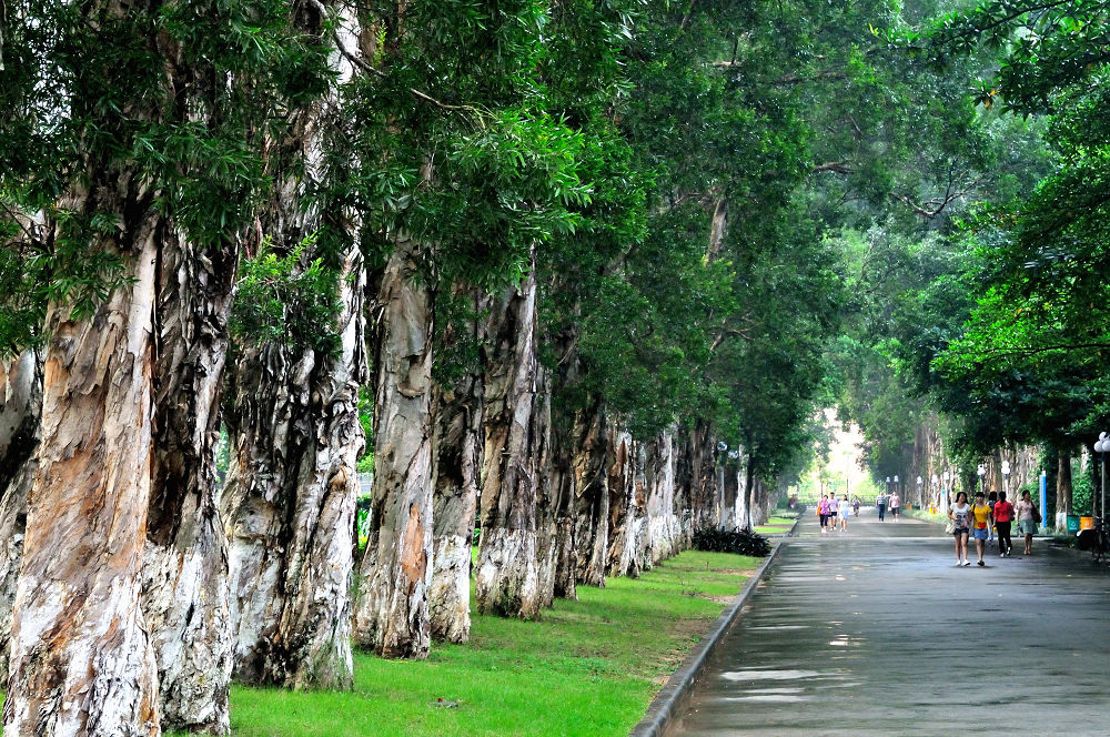 伟德bv国际体育