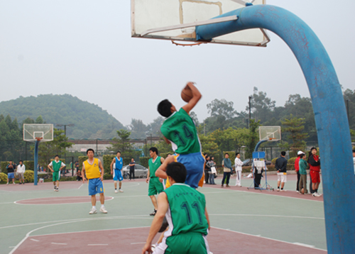 伟德bv国际体育