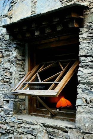 伟德bv国际体育