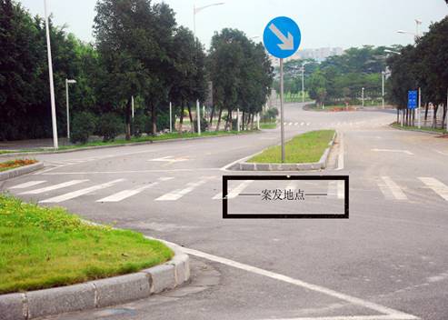 伟德bv国际体育