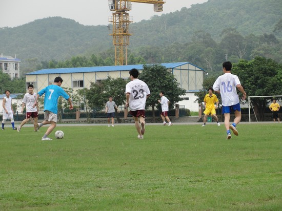 伟德bv国际体育