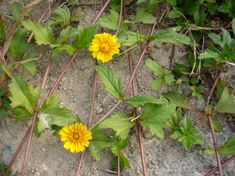 伟德bv国际体育