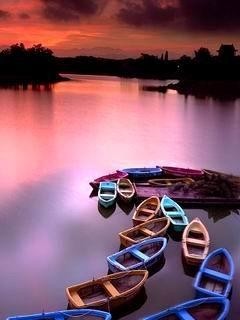 伟德bv国际体育