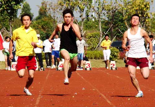 伟德bv国际体育