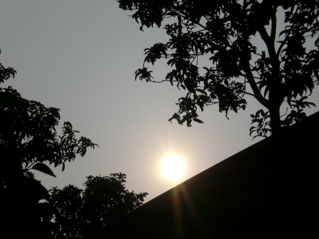 伟德bv国际体育