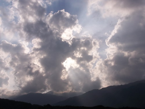 伟德bv国际体育