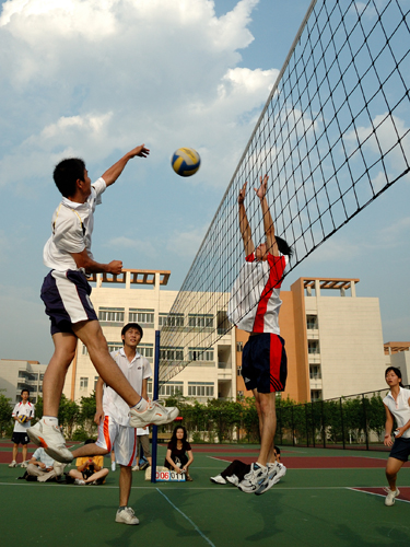 伟德bv国际体育