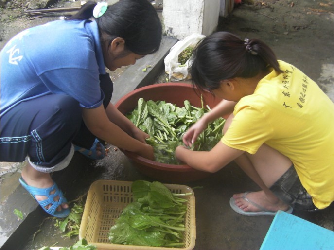 伟德bv国际体育