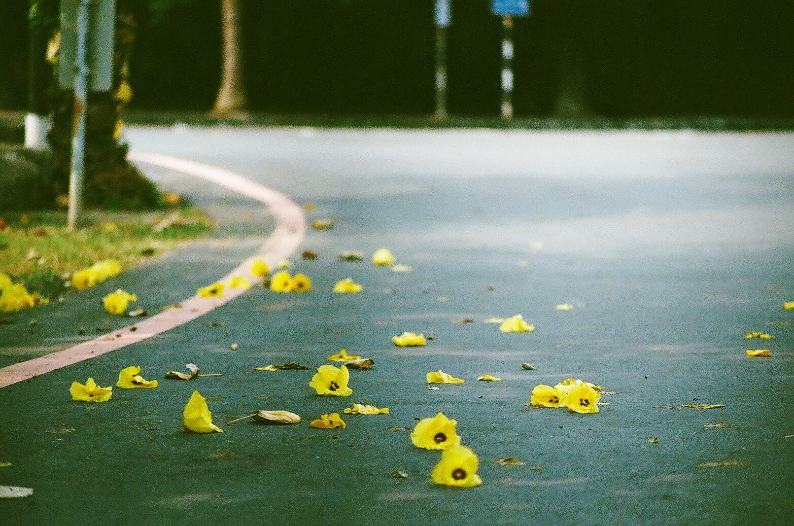 伟德bv国际体育