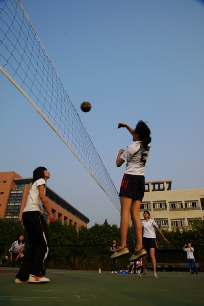 伟德bv国际体育