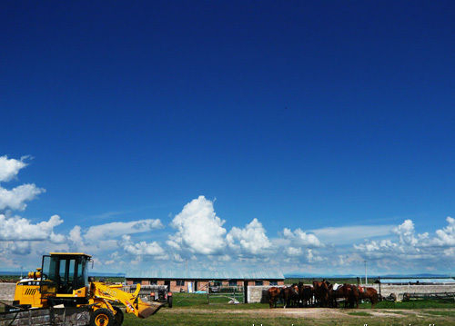 伟德bv国际体育