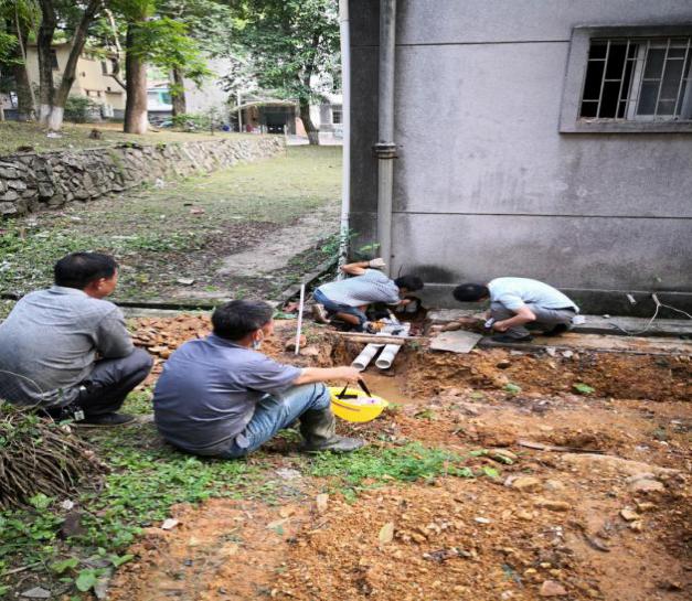 伟德bv国际体育