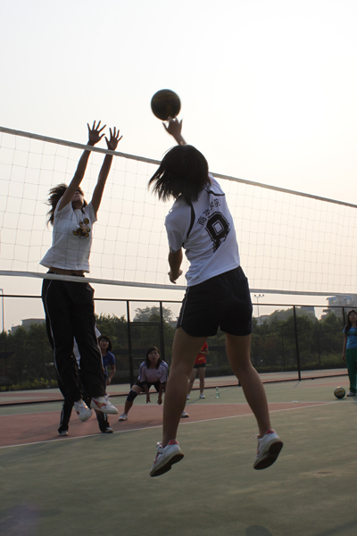 伟德bv国际体育