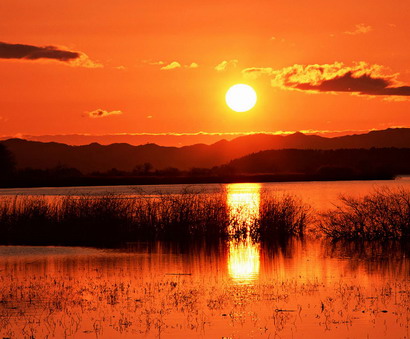 伟德bv国际体育