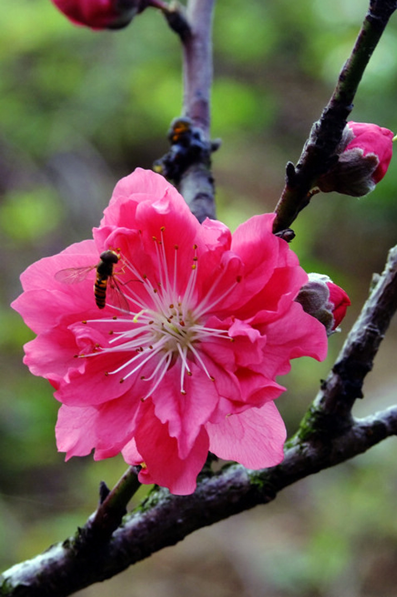 伟德bv国际体育