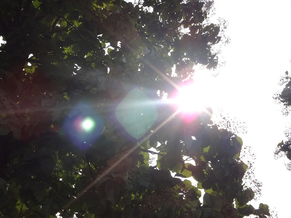 伟德bv国际体育