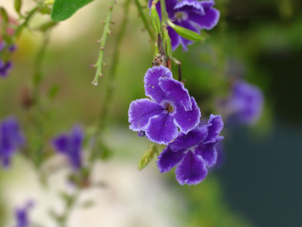 伟德bv国际体育