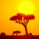 伟德bv国际体育