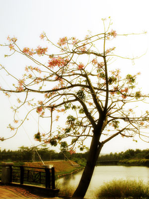 伟德bv国际体育