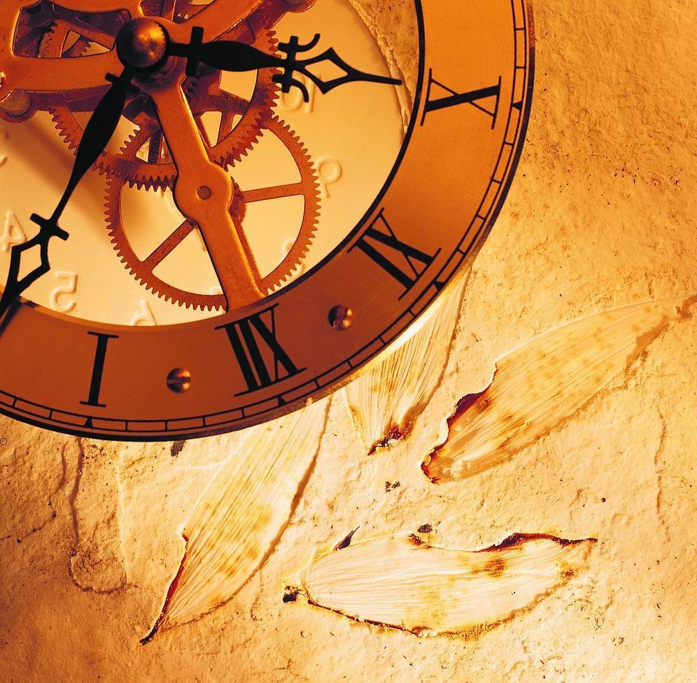 伟德bv国际体育