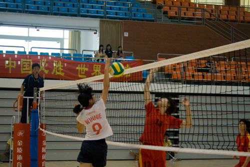 伟德bv国际体育