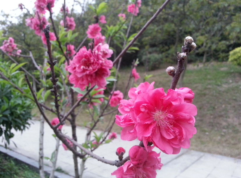 伟德bv国际体育