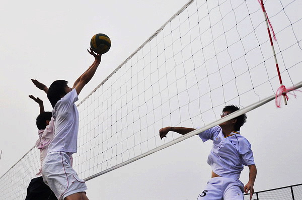 伟德bv国际体育