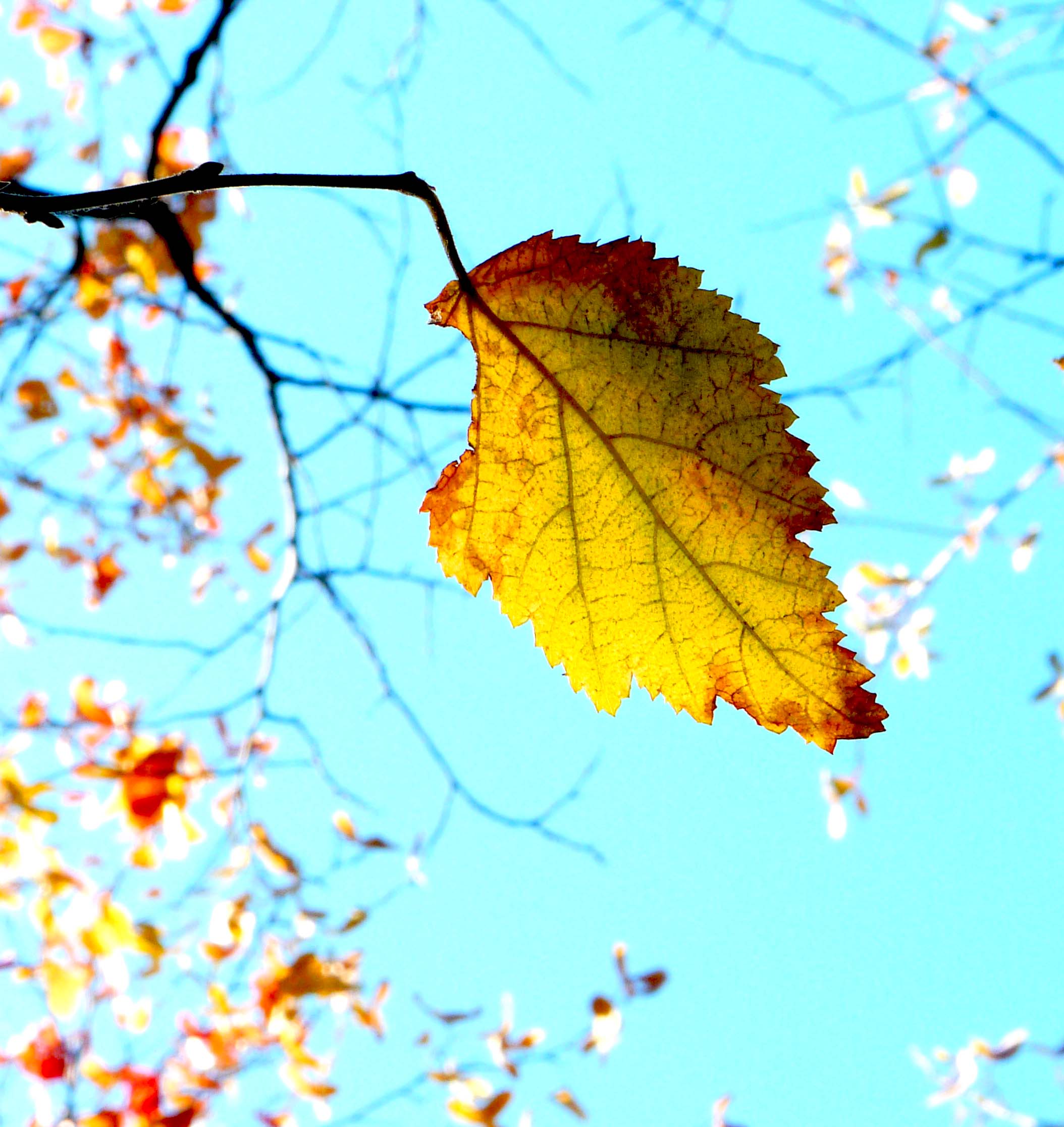 伟德bv国际体育