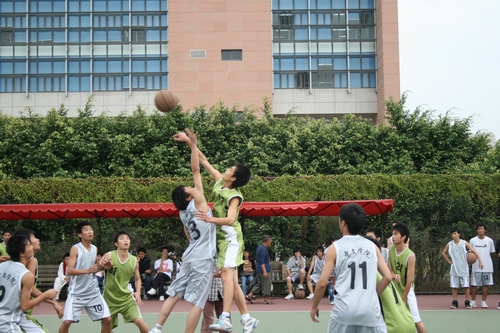 伟德bv国际体育