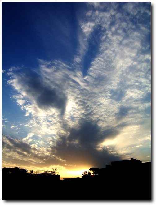 伟德bv国际体育