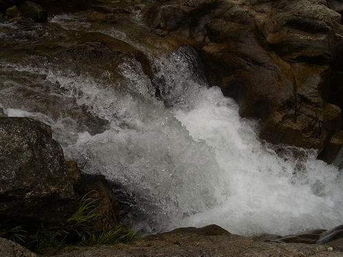 伟德bv国际体育