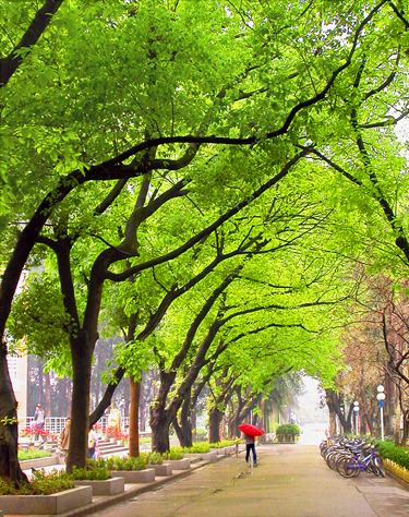 伟德bv国际体育