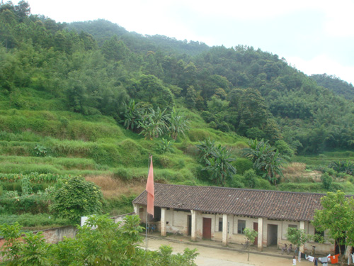 伟德bv国际体育