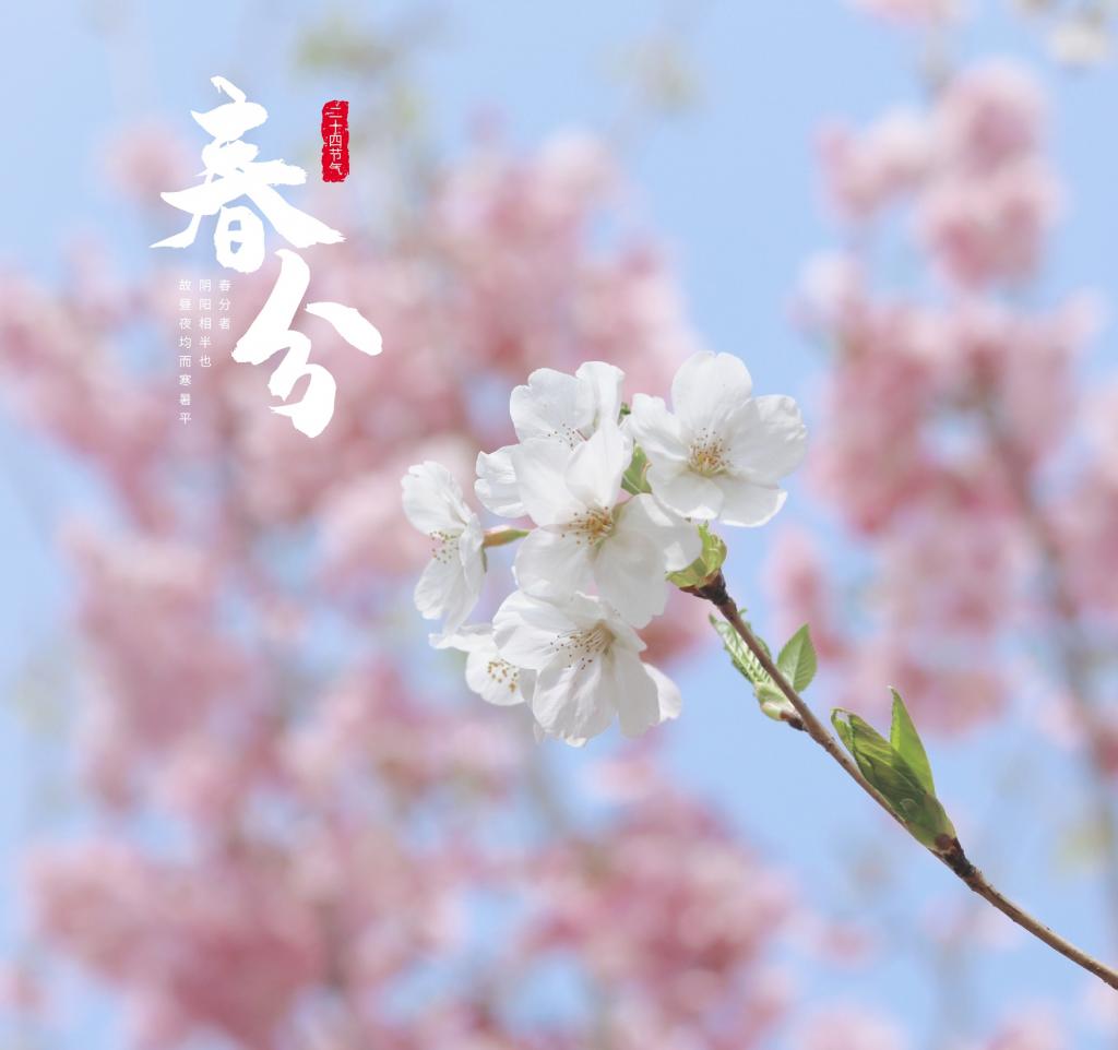春分.jpg 伟德bv国际体育
