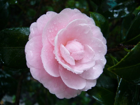 伟德bv国际体育