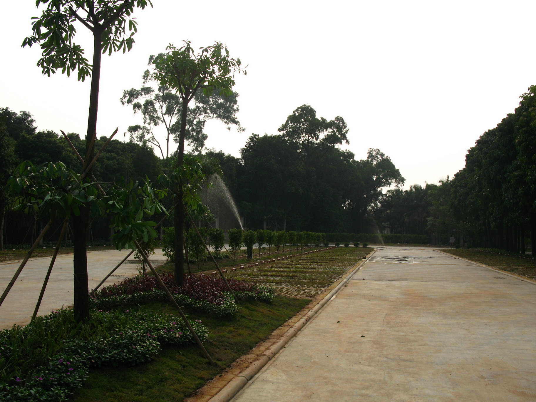 伟德bv国际体育