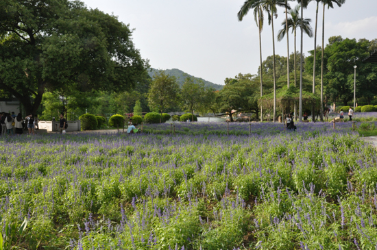 伟德bv国际体育