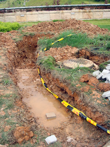 伟德bv国际体育