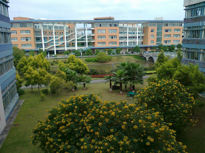 伟德bv国际体育