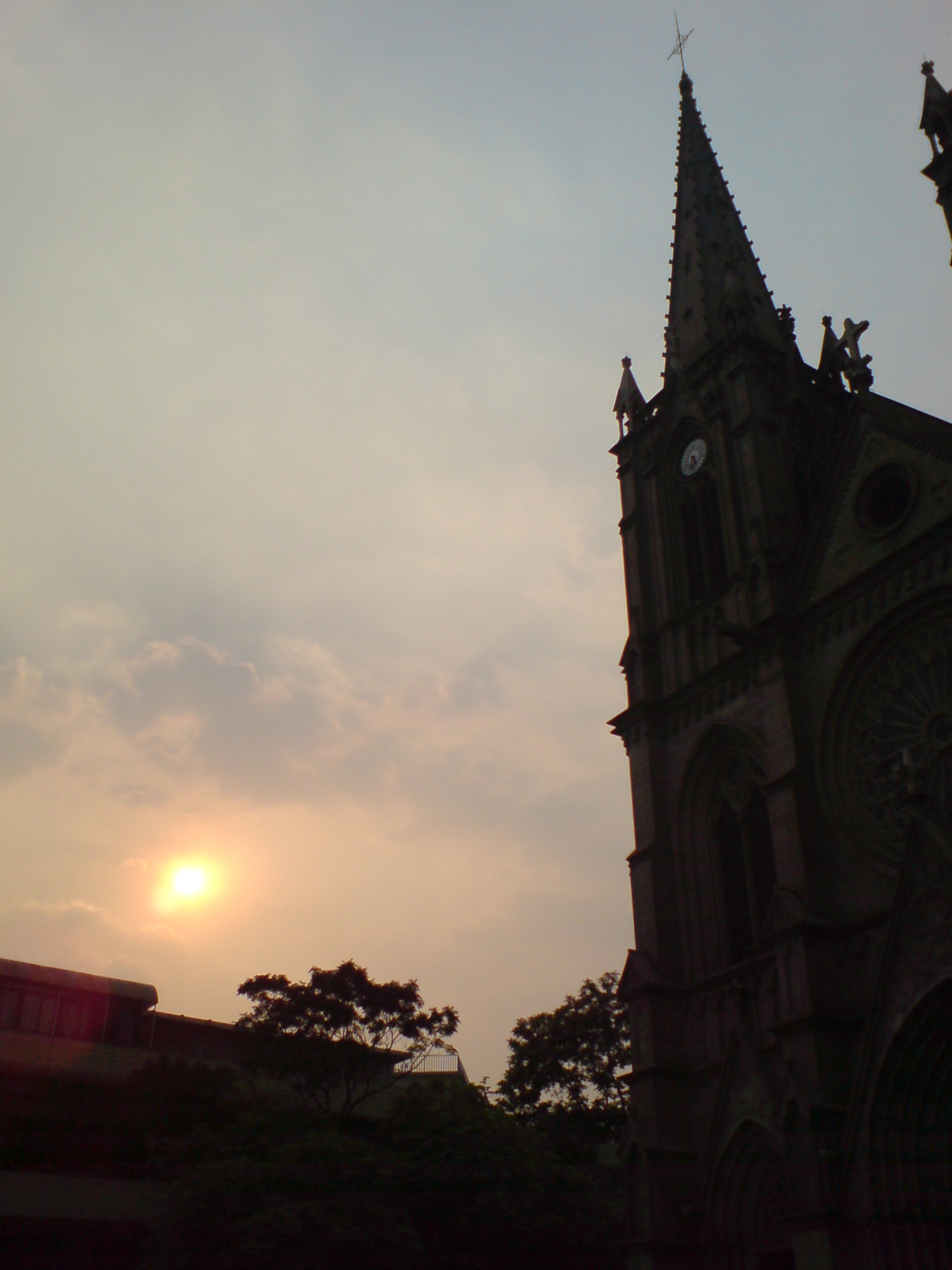 伟德bv国际体育