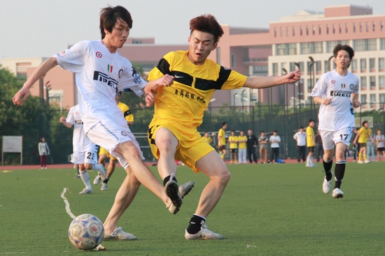 伟德bv国际体育