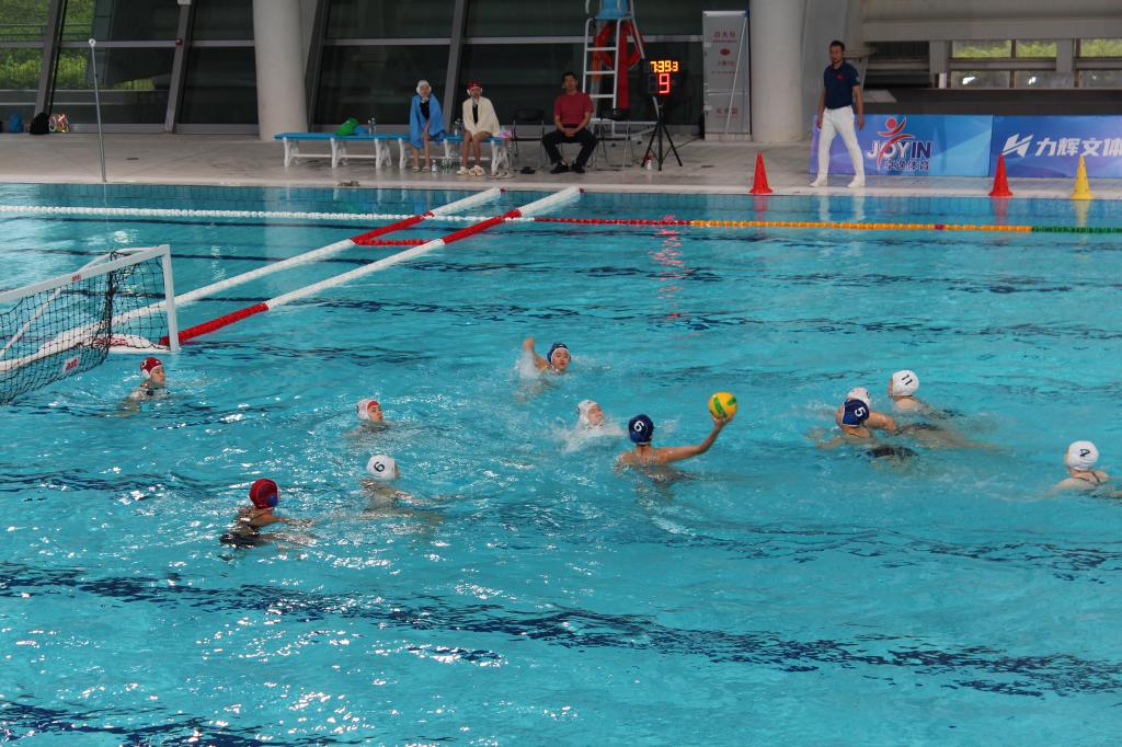 伟德bv国际体育