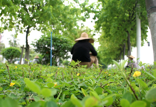 伟德bv国际体育