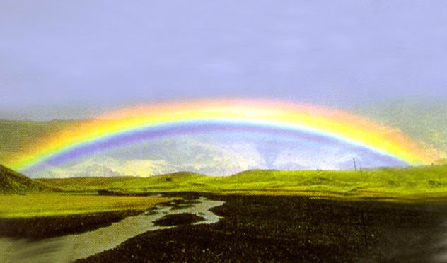 伟德bv国际体育